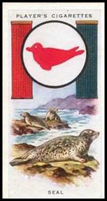 19 Seal